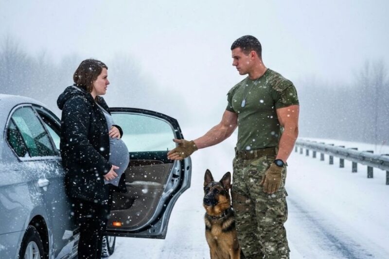 A Pregnant Woman Begged a Navy SEAL for Help—Then Her Secret Left Him Speechless