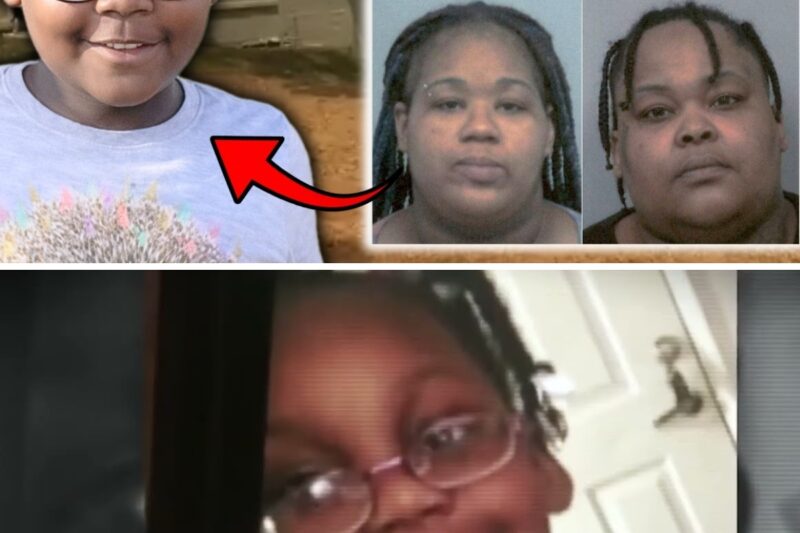 The Mother’s Actions Shocked Even Experienced Detectives | True Crime Documentary 