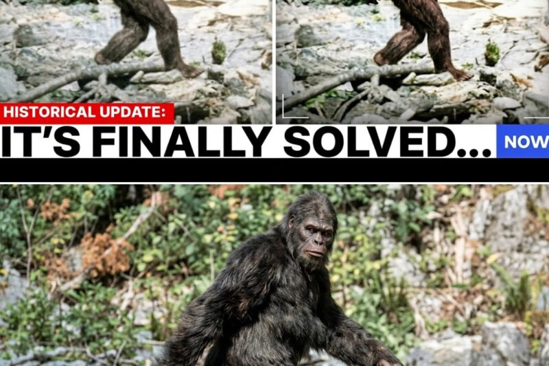 AI Finally Analyzes The 1967 Patterson Gimlin Bigfoot Film, You Won’t Believe What It Found