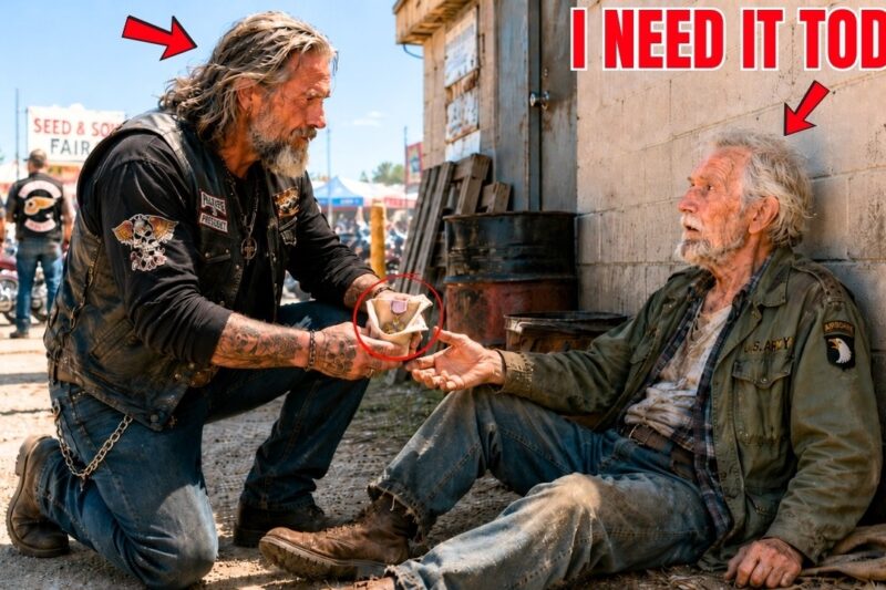 A Homeless Veteran Slept Behind the Diner — The Bikers Found His Medal in a Paper Cup