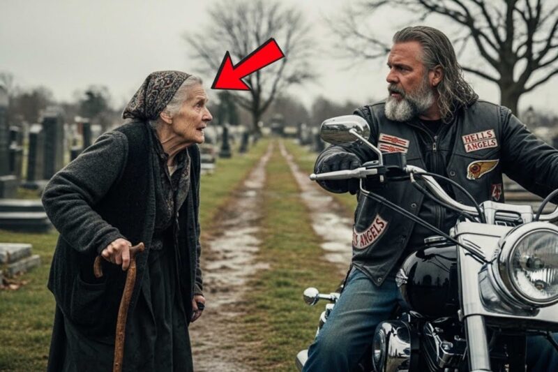 Limping 82-Year-Old Woman Asked Hells Angels: “Can You Carry Me to His Grave?” — Then This