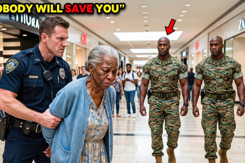 Poor Black Woman Raised Twin Orphans—25 Years Later They Saved Her From The Cops