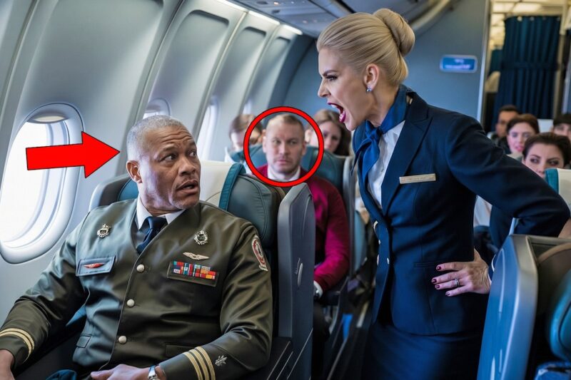 Flight Attendant Forces Black Veteran into Economy — Loses Her Job Before Takeoff
