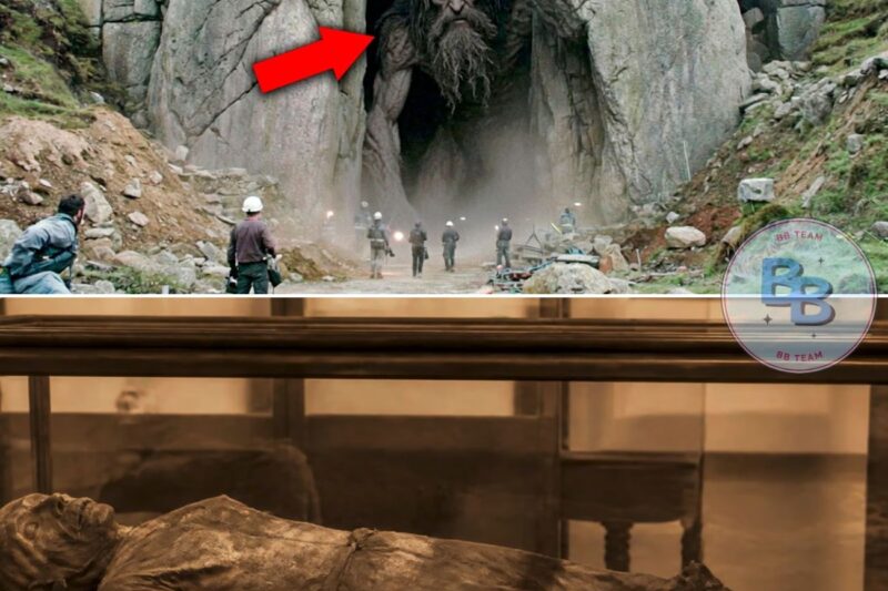 Scientists FINALLY Opened Ireland’s Mysterious Moving Stone Door — and Something Terrifying Came Out