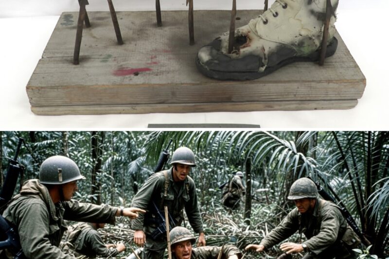 Vietnam’s Most DEADLY Traps for US Soldiers