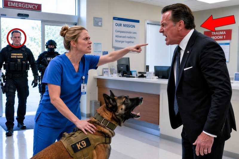 “Don’t Touch That K9 Dog!” Rookie Nurse Was Fired — Then Navy SEALs Stormed In 