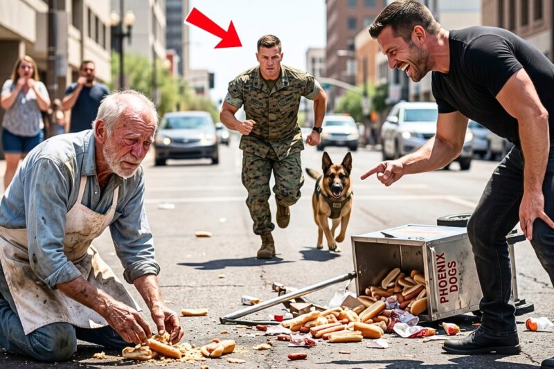 A Bully Smashed an Old Man’s Only Livelihood — A U.S. Marine and His K9 Exposed the Truth