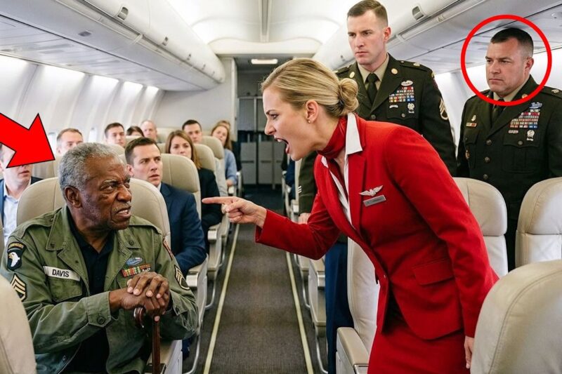 Flight Attendant Tries to Kick Out Black Veteran — Then Military Officers Stand Up on the Plane…