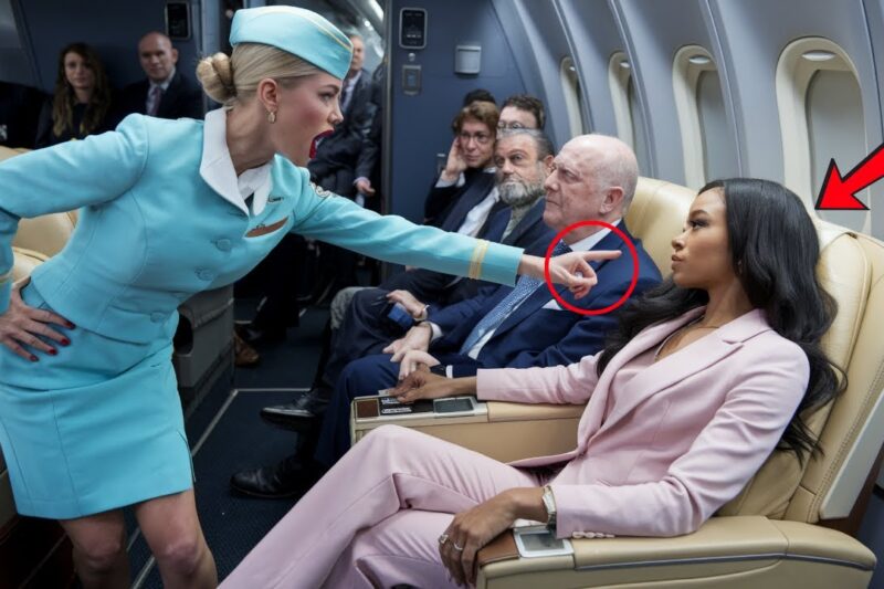 Flight Attendant Insults Black Woman in First Class — Freezes When She Says “I Designed This Jet”