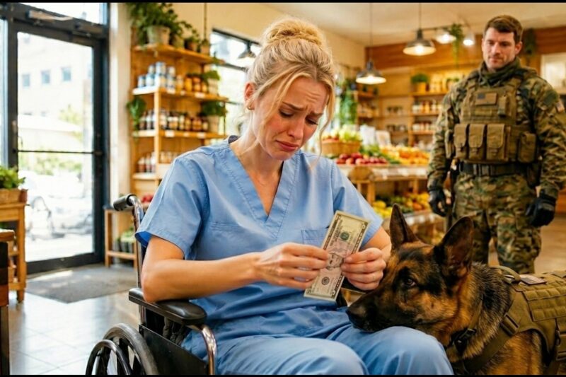 They Forced The Nurse Out With Nothing — Until a Navy SEAL and His K9 Dog Stepped In 