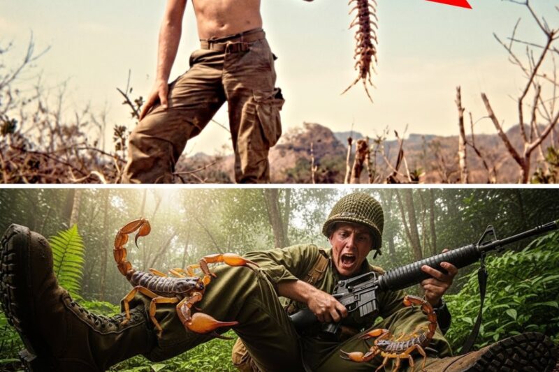 Vietnam’s 5 Most DEADLY Jungle Insects for U S Soldiers