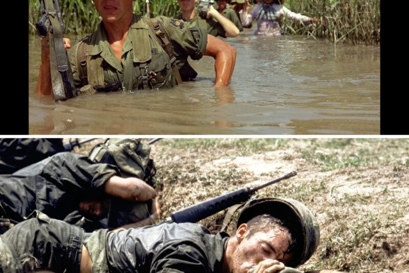 Vietnam’s BRUTAL Environmental Conditions of a Grunt!