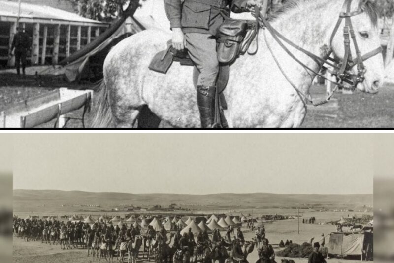 “No Swords? Use Bayonets” — The Insane Australian Cavalry Charge That Shocked The World