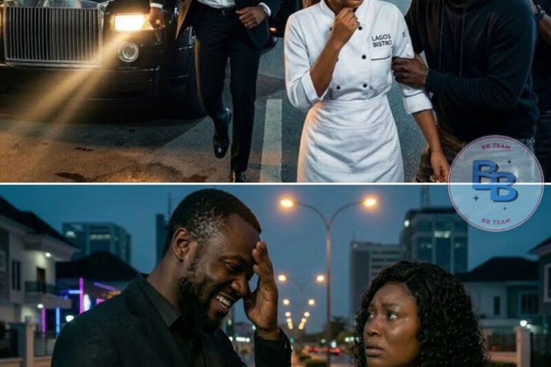 Billionaire rescued a chef lady from hoodlums at midnight—was the beginning of their love story