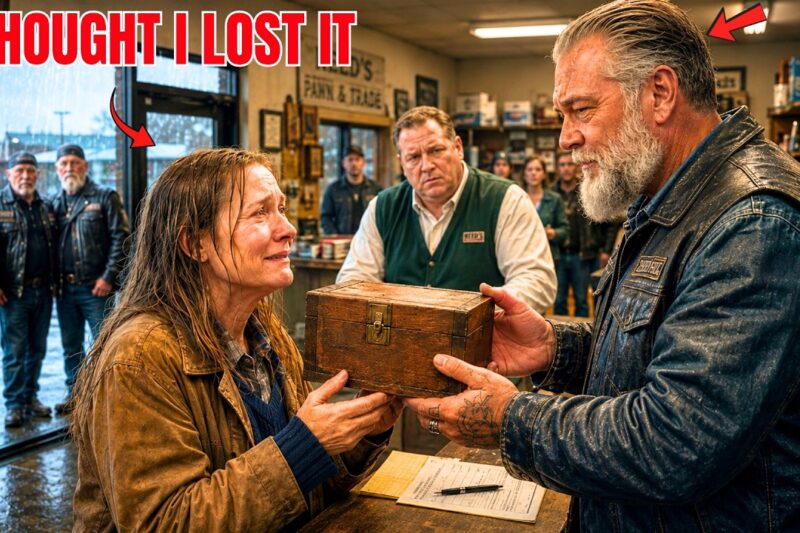A Poor Woman Returned a Biker’s Lost Wallet — What the Hells Angels Did Next Changed Her Life