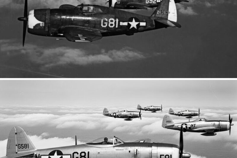 German Pilots Laughed At The P-47 Thunderbolt, Until Its Eight .50s Rained Lead on Them