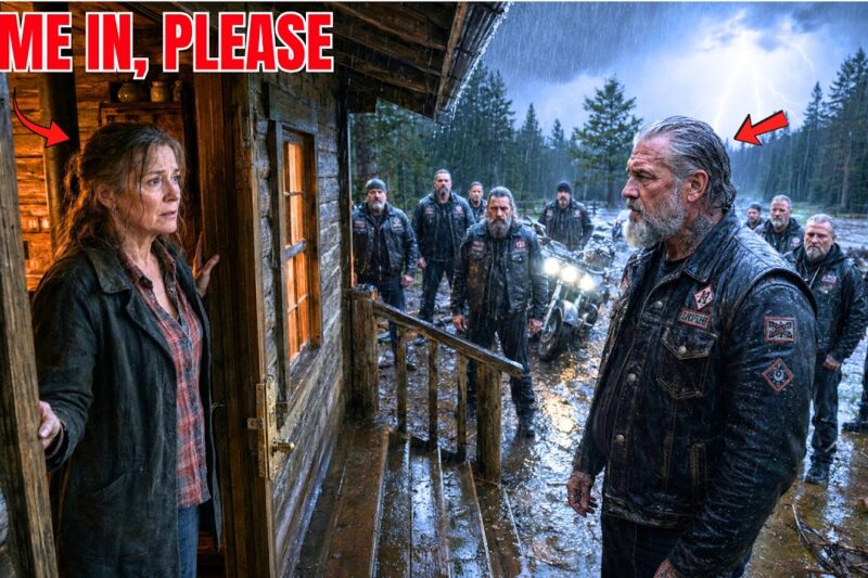 A Lonely Widow Sheltered Hells Angels During a Flash Flood — What Came at Dawn Helped Her Heal