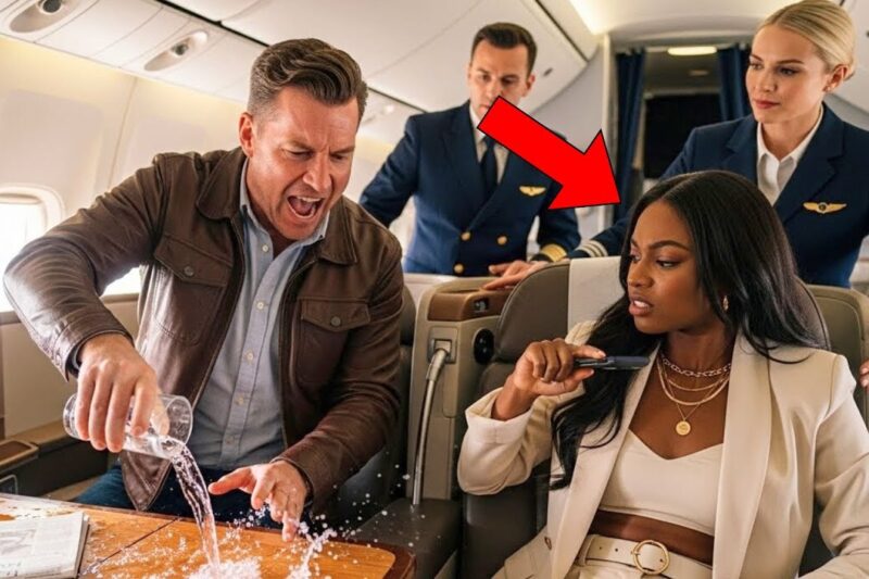 Black Woman CEO’s Seat Snatched by White Passenger — Seconds Later, the Jet Stops on the Runway
