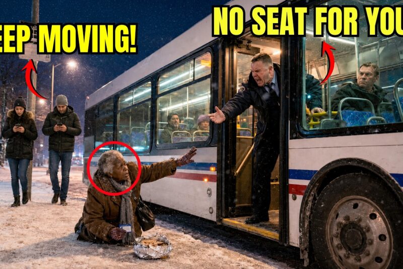 Driver Leaves Elderly Black Woman in -20°F Storm — Not Knowing She Donated Every Bus to the City