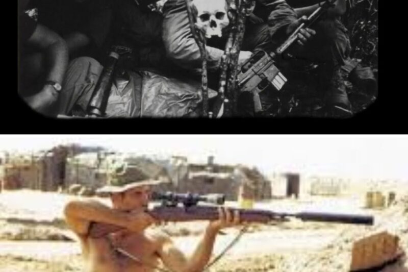 VC Sniper Shot His Water Canteen — SAS Soldier Smiled, Tracked Him 4 Miles, Eliminated Them Allc
