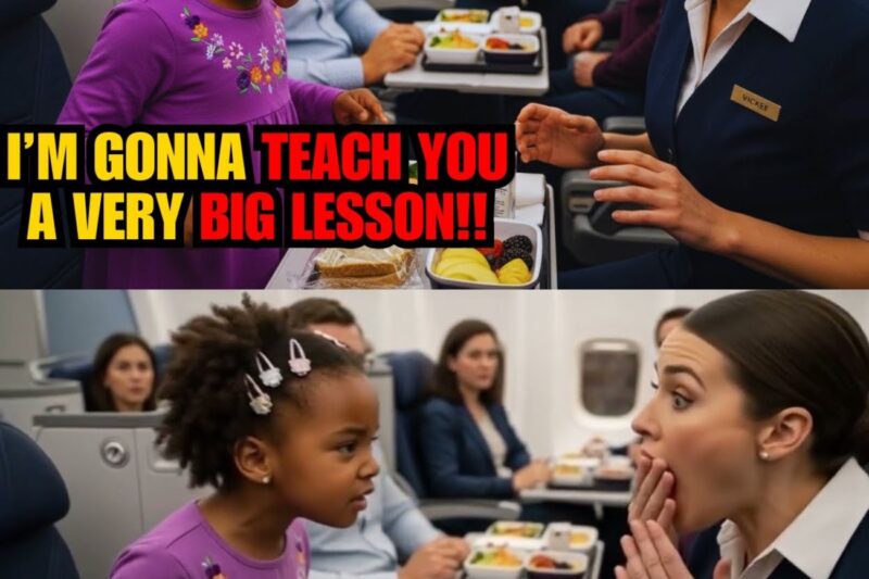 Little Black Girl Shuts Down Racist Flight Attendant After Being Served Spoiled Food in First Class