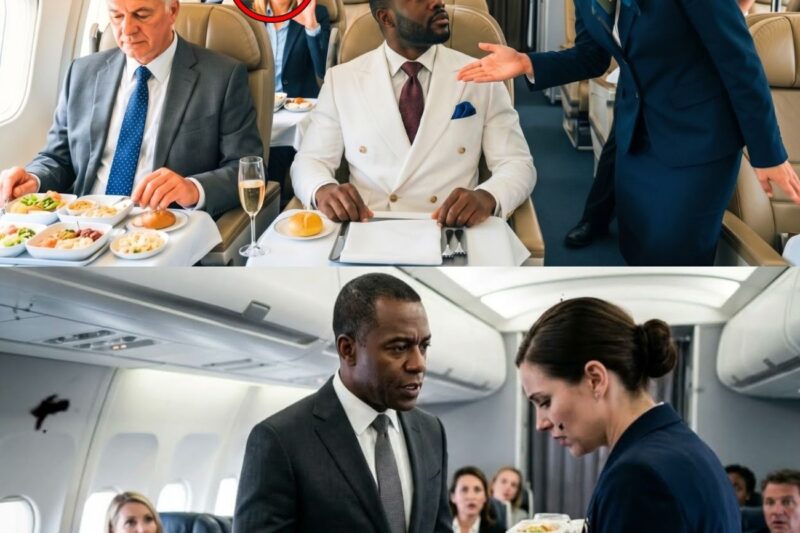 Black CEO Denied First-Class Meal — 7 Minutes Later, He Grounds the Plane and Fires Everyone