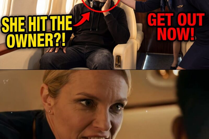 Attendant Slapped Black Billionaire on His Jet — 10 Minutes Later He Destroyed Her Career 