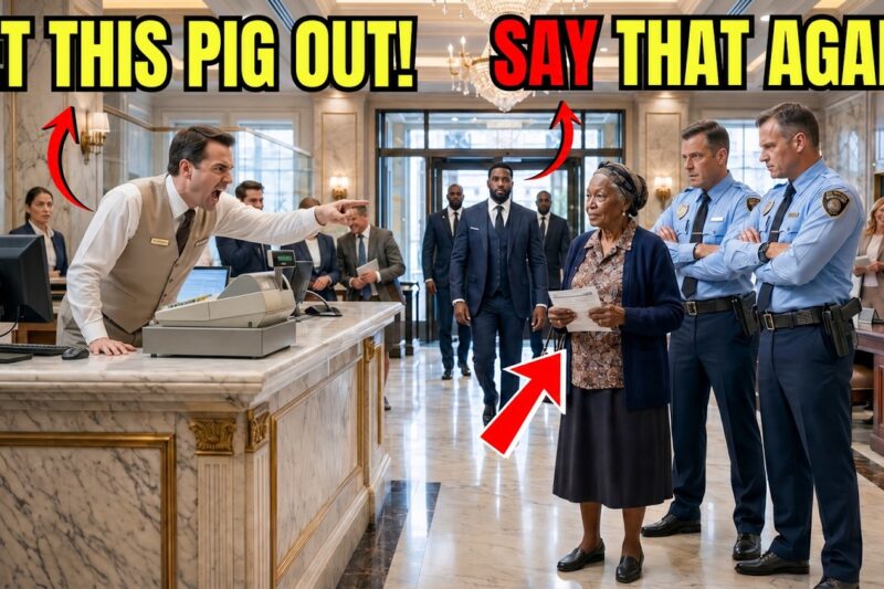 “Withdraw $1M From My Account” Said 80-Year-Old Black Grandma — Manager Laughed Until He Saw….