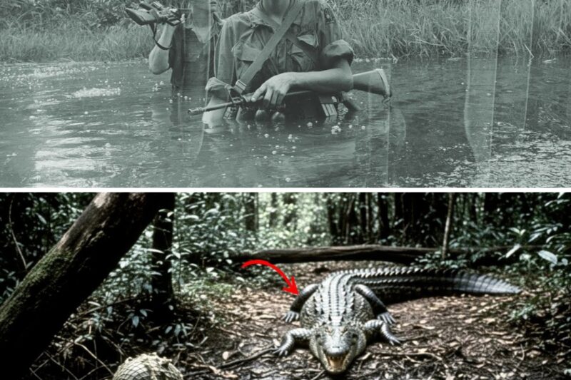 Vietnam’s 5 most RUTHLESS Jungle Predators for U S Soldiers