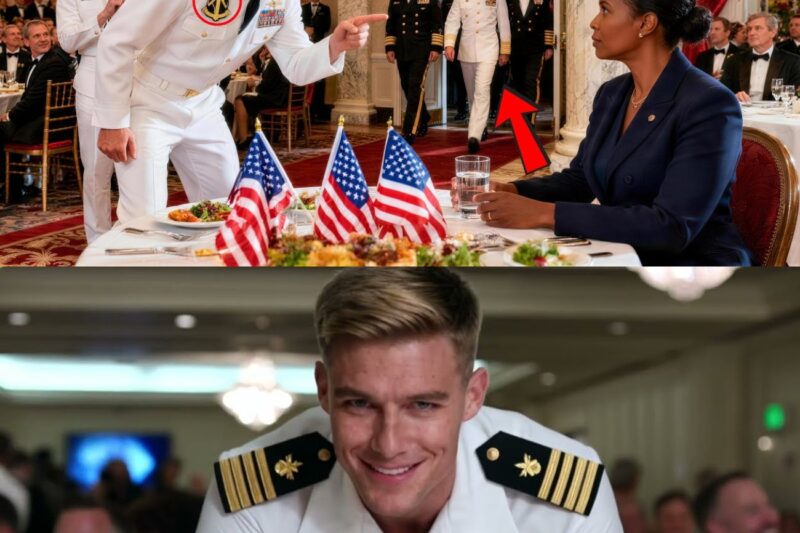 Cocky Navy SEAL Asked a Quiet Woman Her Rank as a Joke — Then Four Generals Snapped to Attention 