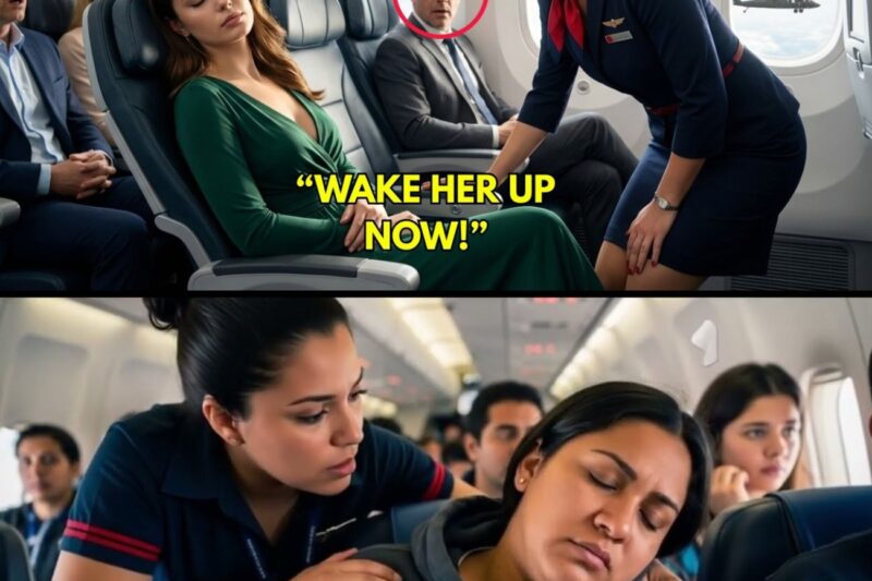 She Was Asleep in Seat 7C — When Autopilot Failed, Black Hawks Radioed: “Wake Her Up, Now”