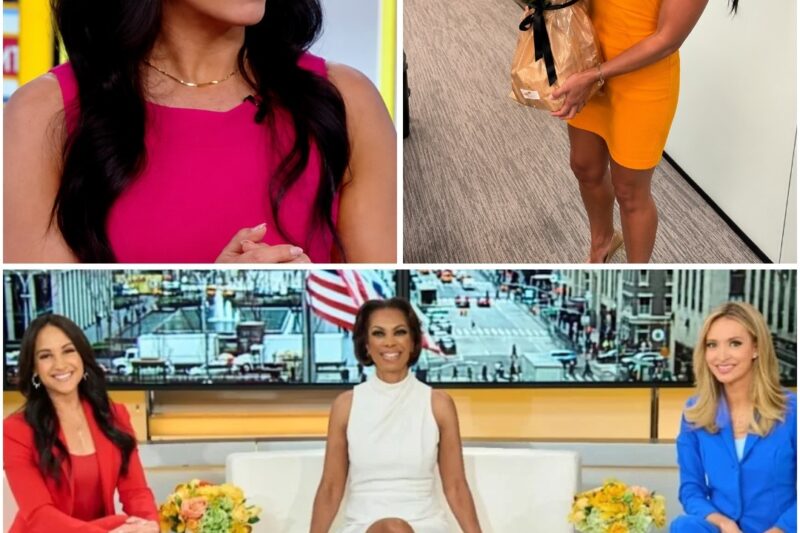Did Something Go Wrong On-Air? The Truth Behind the Emily Compagno & Harris Faulkner Rumors!