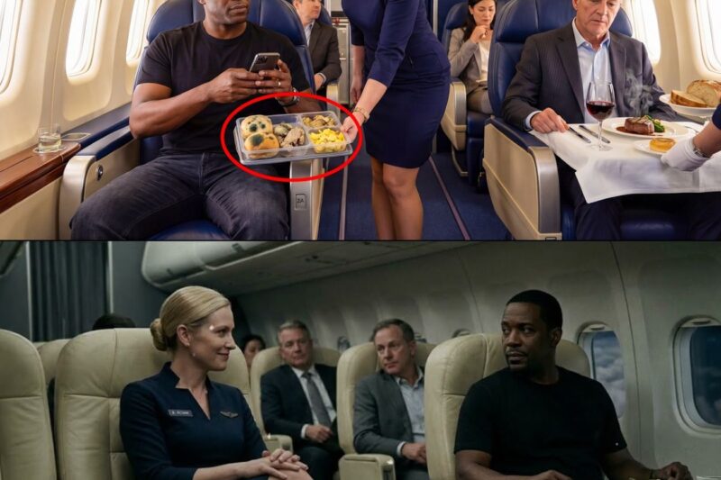 Flight Attendant Intentionally Served Spoiled Food to Black CEO—Fired Before the Plane Landed