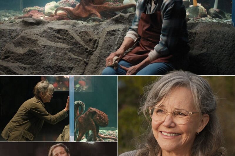 SALLY FIELD’S HEARTBREAKING NETFLIX DRAMA IS LEAVING VIEWERS IN TEARS CQ 