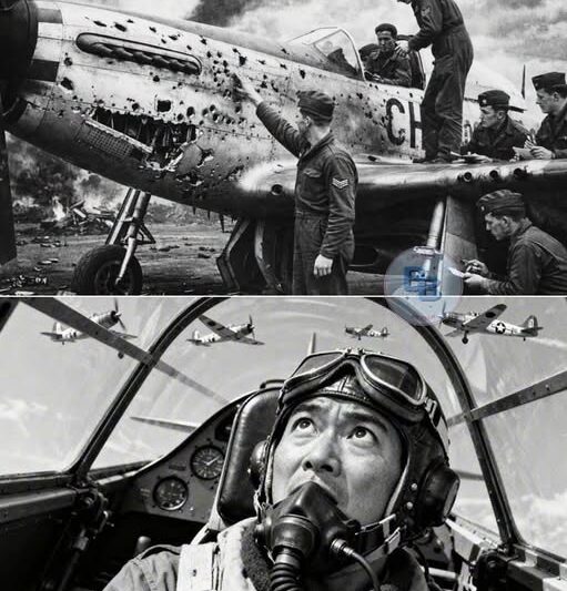They Mocked This “Suicidal” Fighter — Until One Pilot Stopped 31 German Attackers Alone
