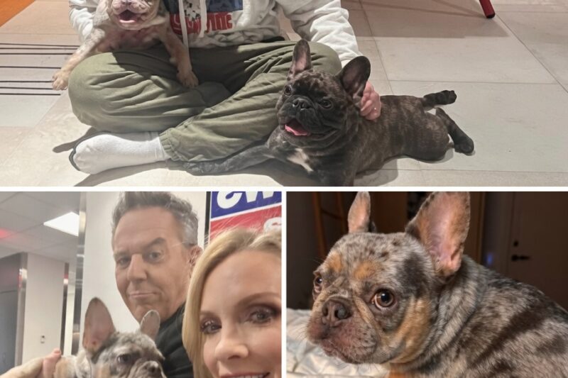 THE DAY GREG GUTFELD CHANGED 39 LIVES