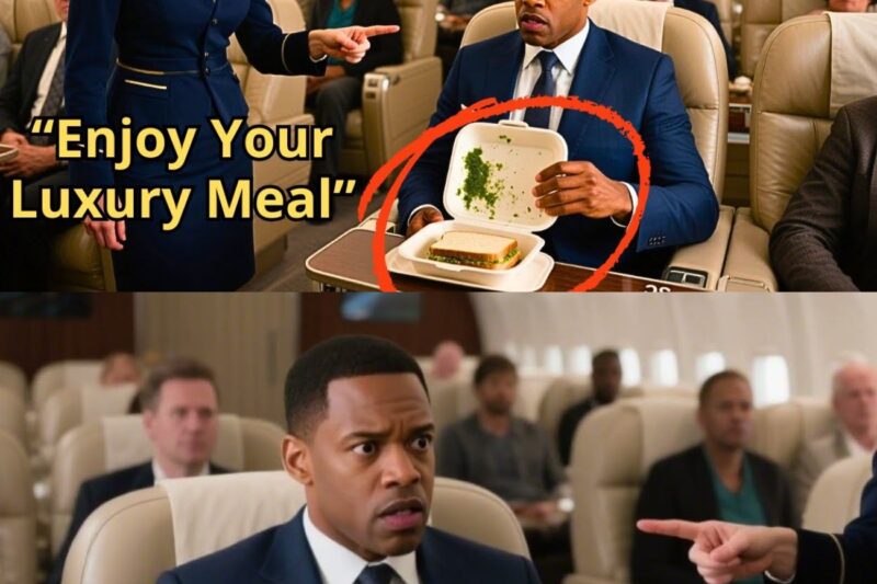 Flight Attendant Serves Moldy Food to Black CEO—Unaware He Owns the Airline