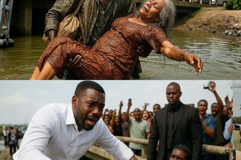 He Gave His Life To Save An Elderly Woman—Moments Later, A Billionaire Arrived And This Happened…