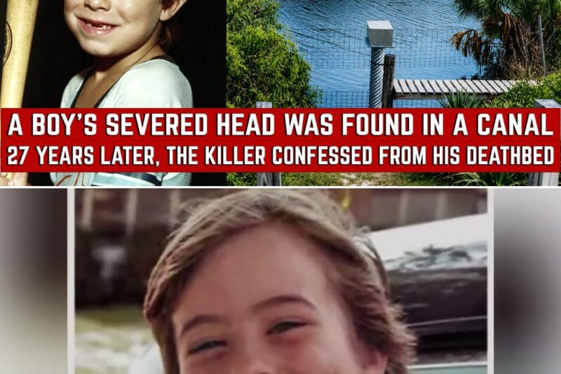 Florida 1981 Cold Case Solved — Arrest Shocks Community