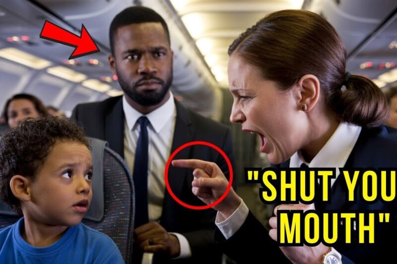 Flight Attendant Slapped a Toddler in First Class — Then Learned Who His Father Was