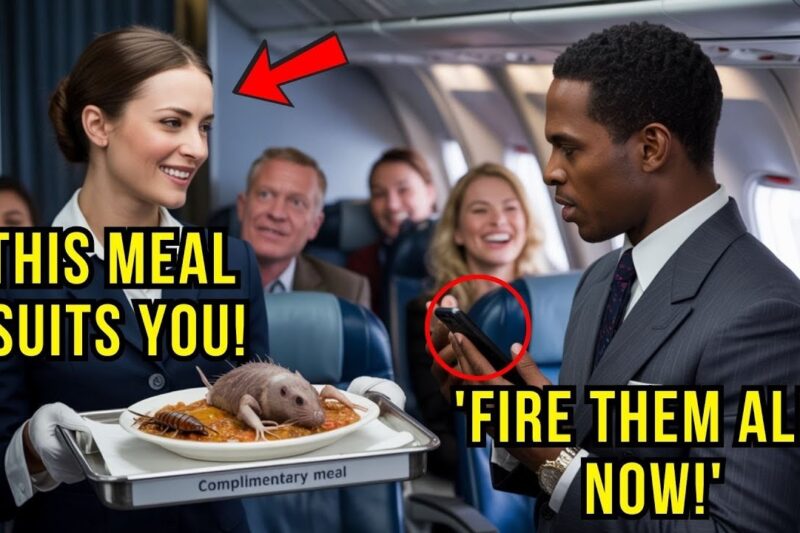 CEO Received a Shockingly Poor First-Class Meal — After Landing, an Inquiry Began