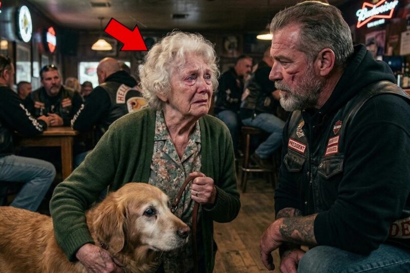 “Please Don’t Let Them Take My Dog” Cried 84-Year-Old to Hells Angel — What Bikers Did Shocked ALL