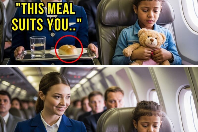 Flight Attendant Denied First Class Meal to White Girl — Then Gets Fired Midair by CEO Mom