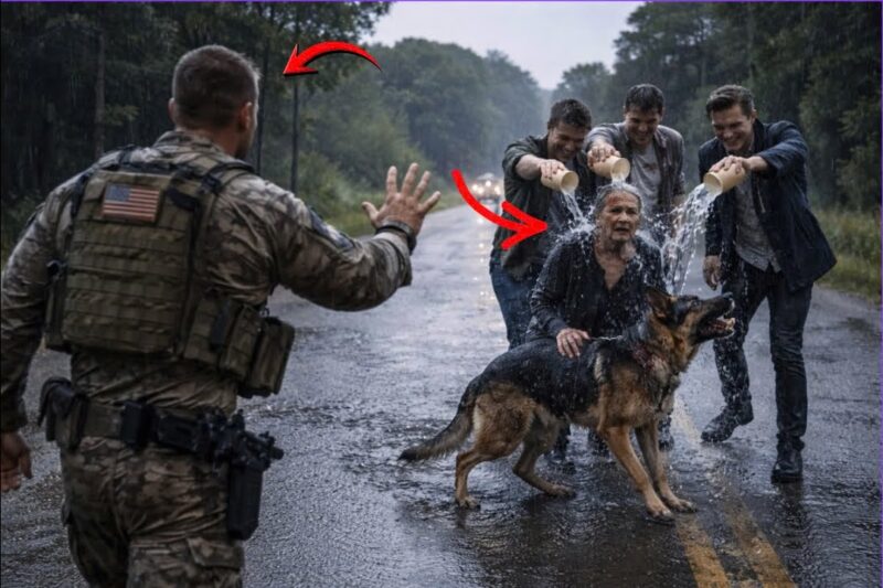 Rich Street Racers Humiliated an Old Woman and Her Dog — Not Knowing Her Son Was a Navi SEAL