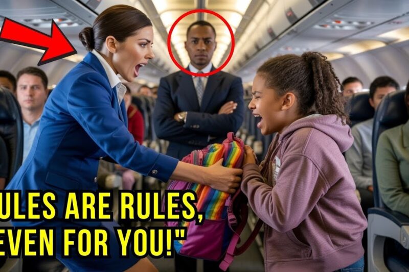Flight Attendant Kicked a Girl’s Bag — 30 Minutes Later, Everything Changed