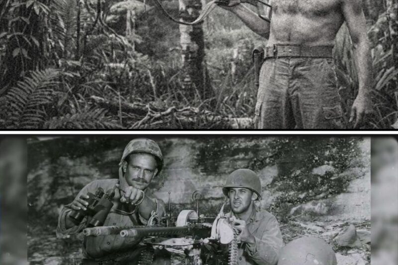 “Come And Get Me” — How One Australian Hunted A Japanese Garrison