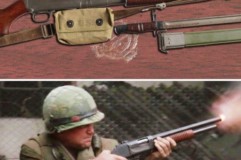 Vietnam’s TERRIFYING M12 Shotgun Beloved by US Soldiers!