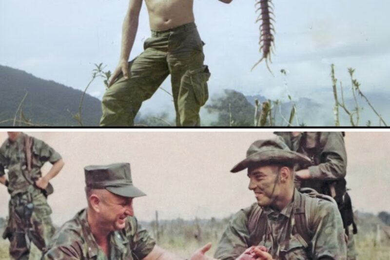 Vietnam’s most DANGEROUS Wild Life for US Soldiers!