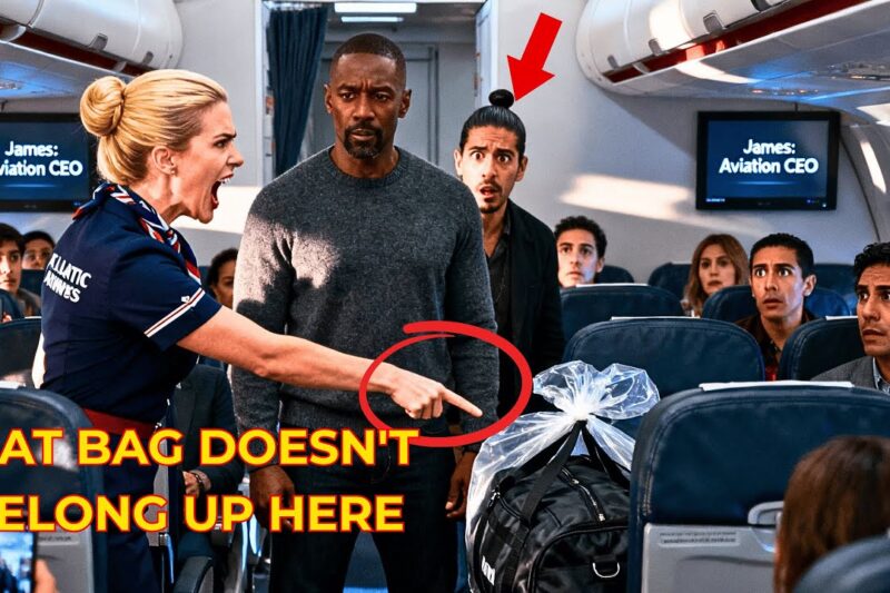Flight Attendant Throws Black Man’s Bag in Trash — 36 Hours Later, He Transforms The Entire Airline