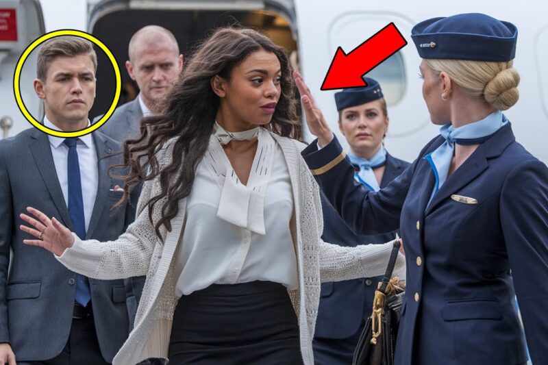 Flight Attendant Slaps Black Woman — Not Knowing She’s the Billionaire Who Owns the Plane